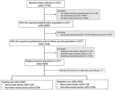 Development of a predictive risk stratification tool to identify the population over age 45 at risk for new-onset stroke within 7 years